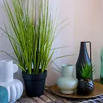 Le Botanica Ανζέρ
